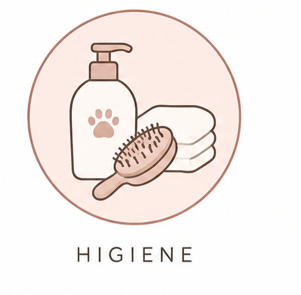 Higiene