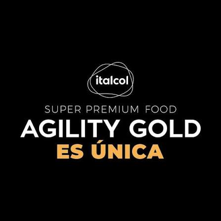 Agility Gold