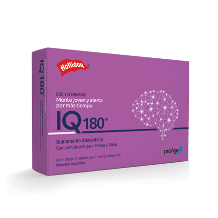 HOLLIDAY - IQ 180