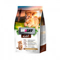 BR FOR CAT - Wild kitten (Pollo y salmón)