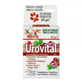 PETS AND CATS - Esencia urovital