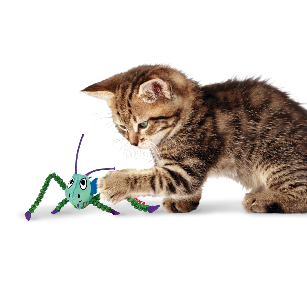 KONG - Juguete para gato saltamontes