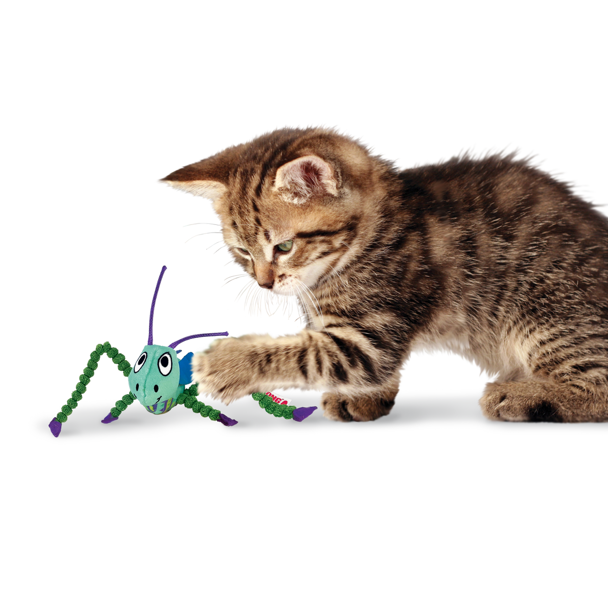 KONG - Juguete para gato saltamontes