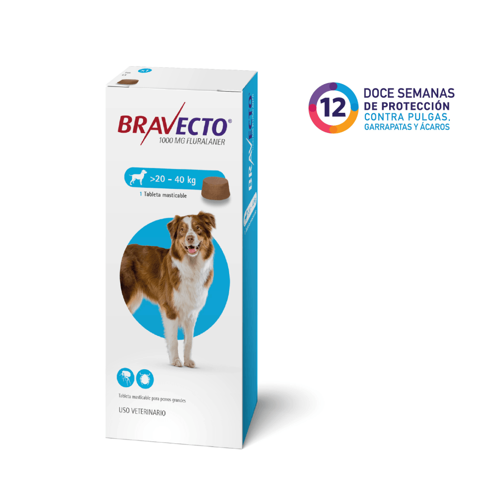 BRAVECTO - Perro
