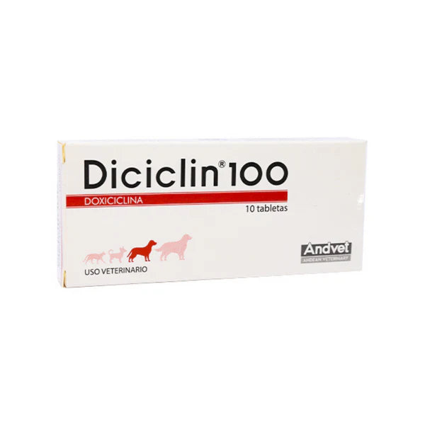 Dicicilin