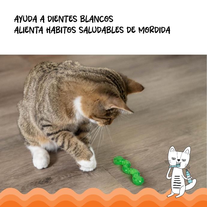 CATSTAGES - Frisky orkakat catnip wiggle worm