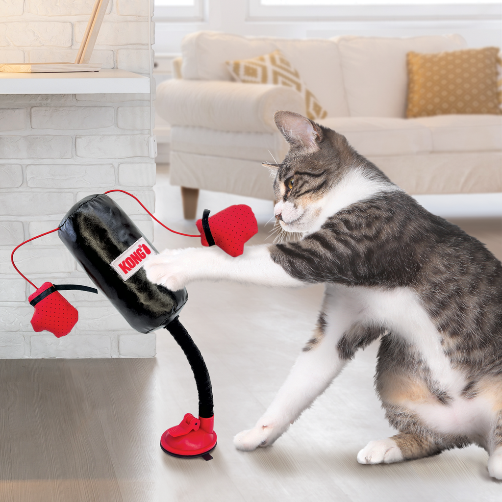 KONG - Juguete para gato saco boxeo