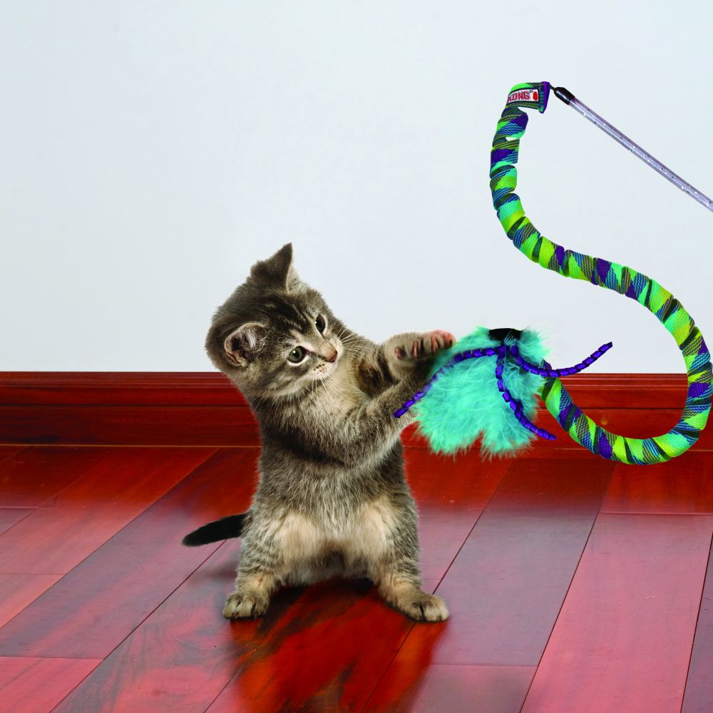 KONG - Juguete para gato barra curlz