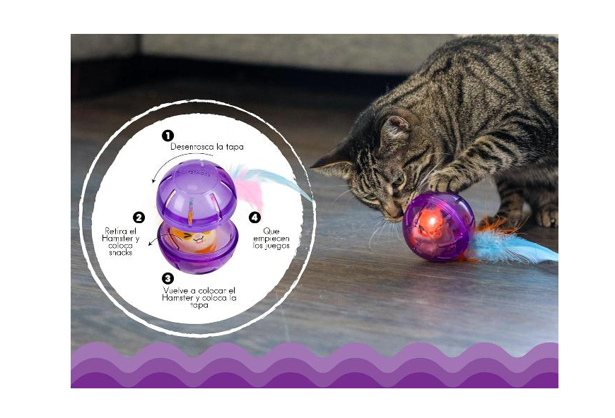 CATSTAGES - Mindgame hamster ball