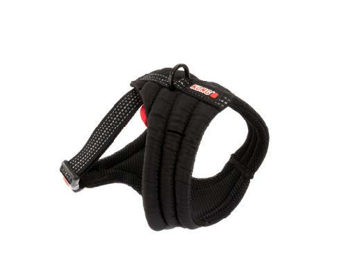 KONG - Arnés comfort S
