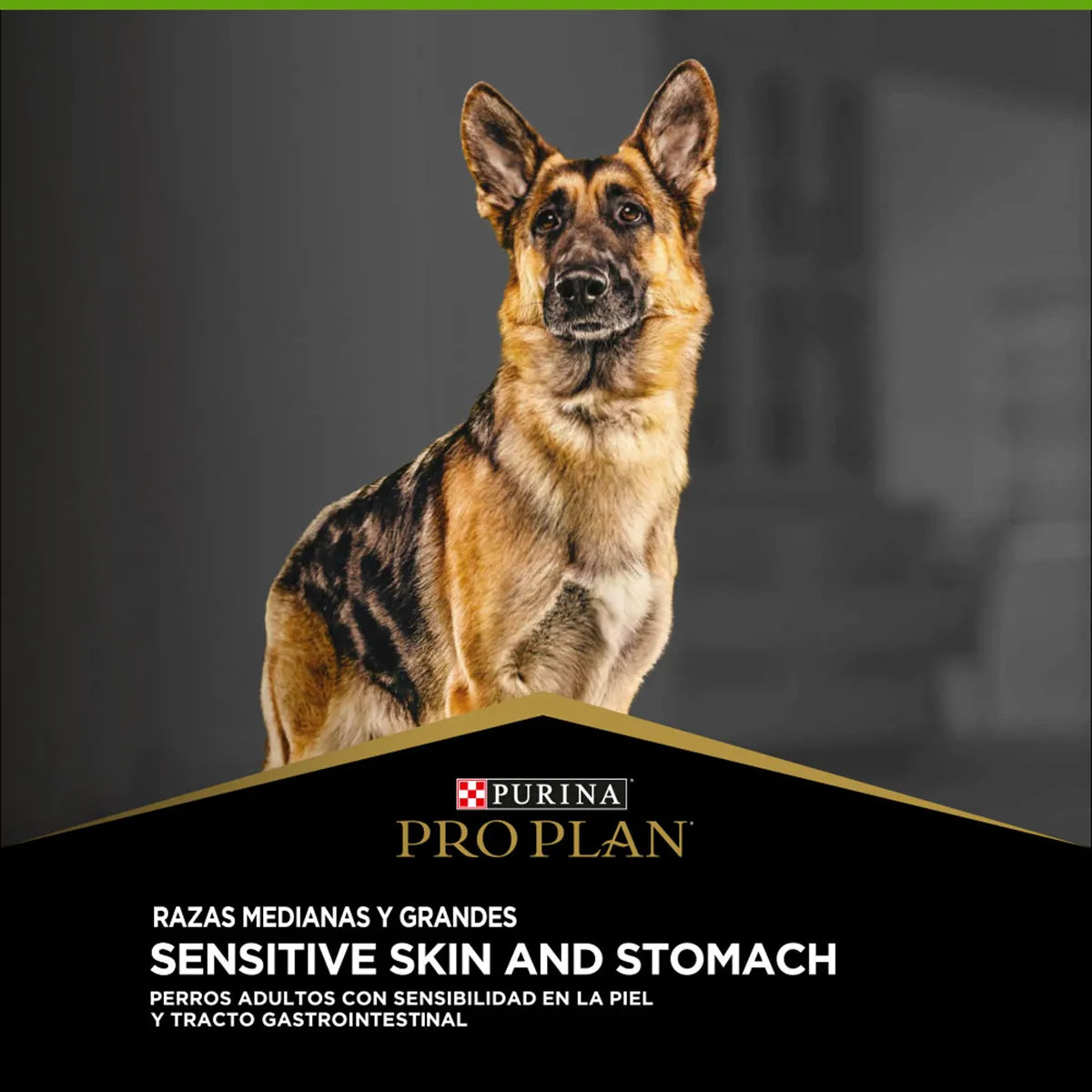 PRO PLAN - Adulto skin & stomach (Pavo y probióticos)