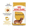ROYAL CANIN - Dachshund adulto