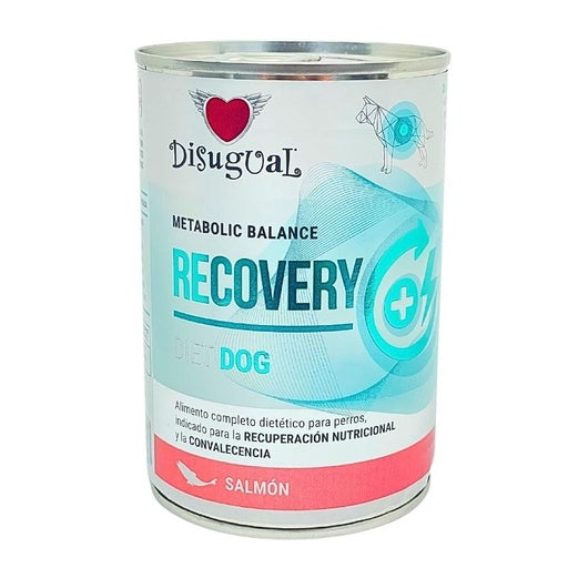 DISUGUAL DOG - Lata recovery diet (Salmón)