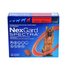 Nexgard spectra