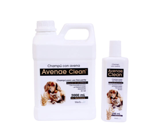 Avenae clean shampoo