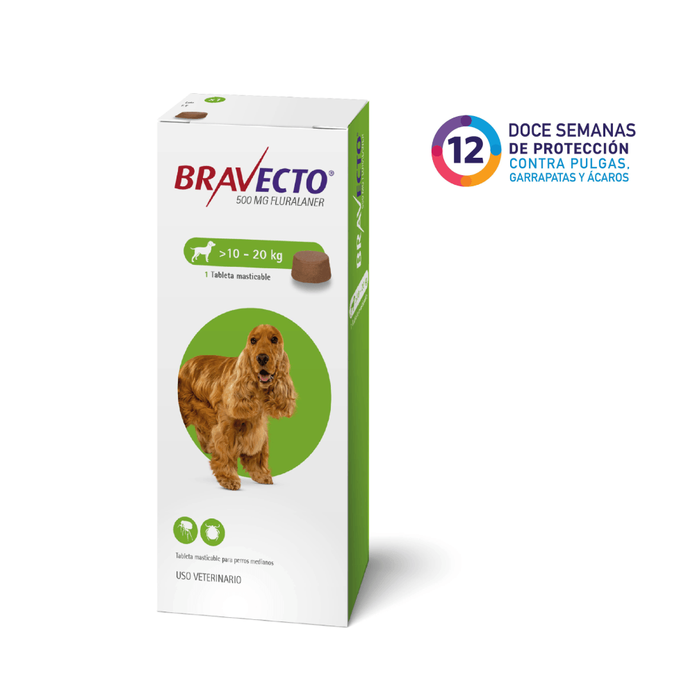 BRAVECTO - Perro