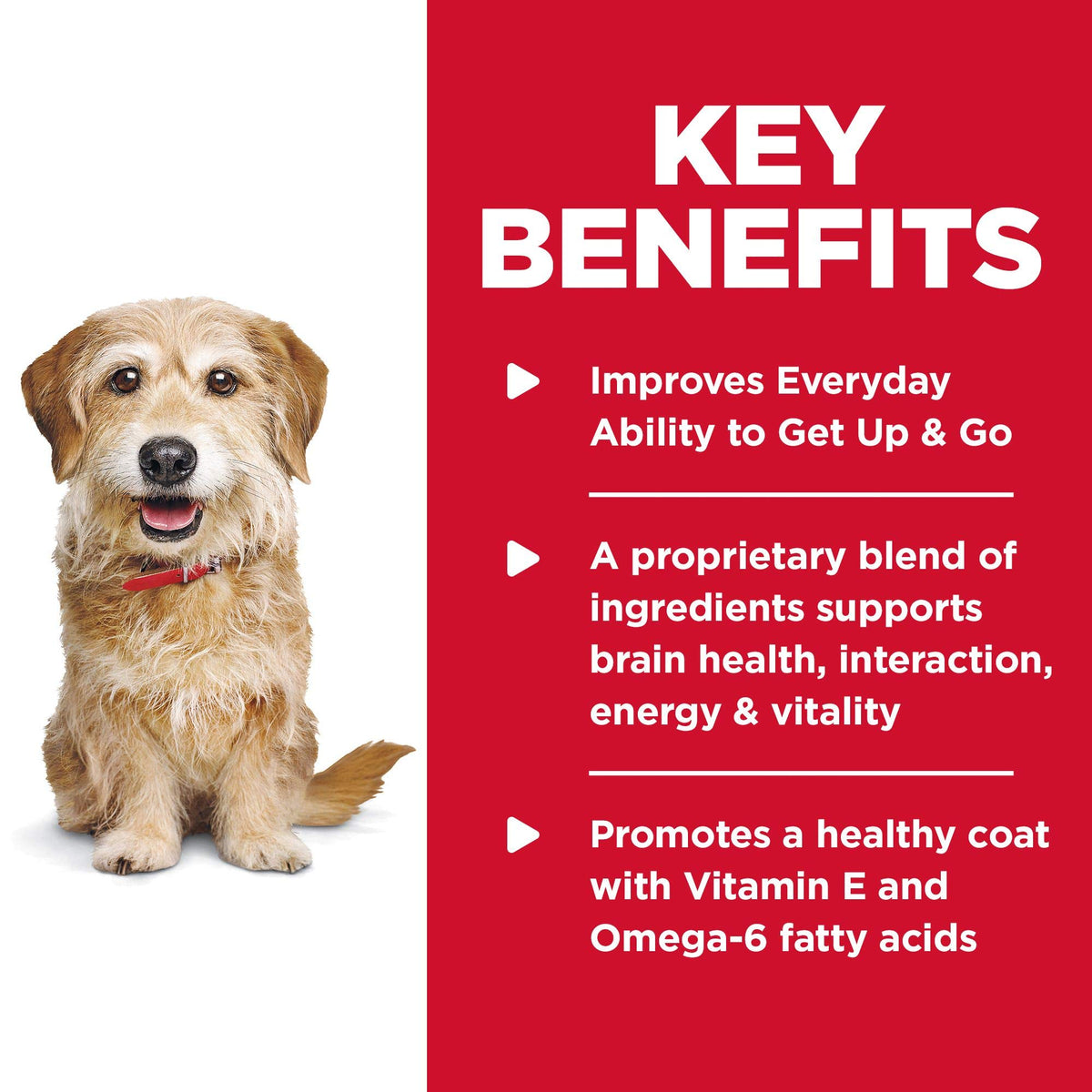 HILLS - Science diet senior vitality Small bites