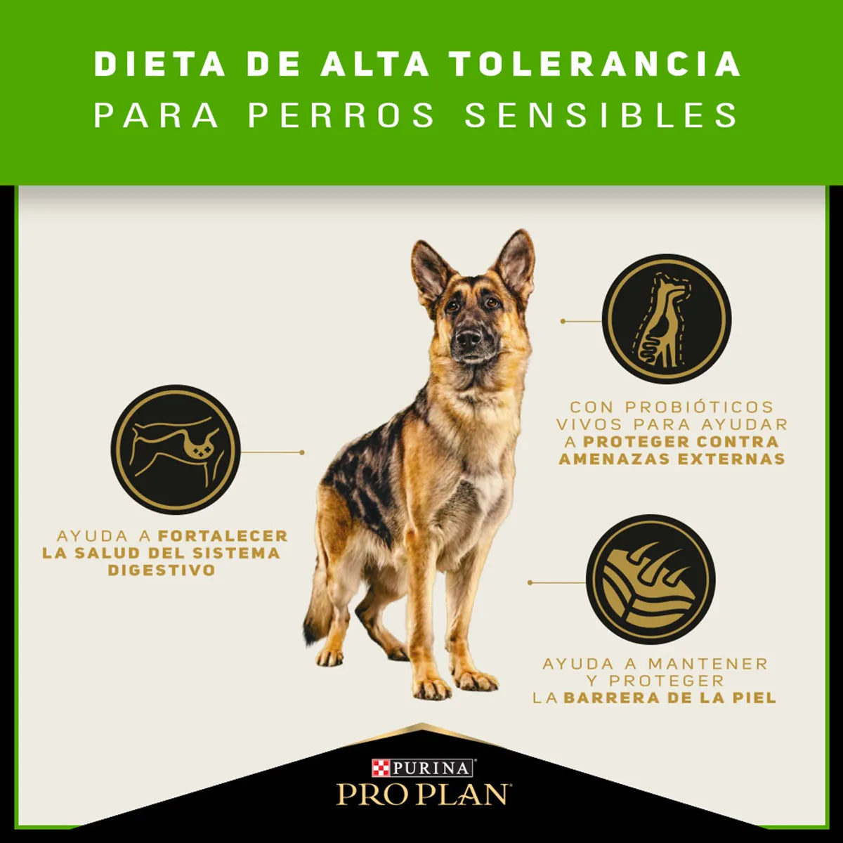 PRO PLAN - Adulto skin & stomach (Pavo y probióticos)
