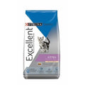 EXCELLENT - Kitten