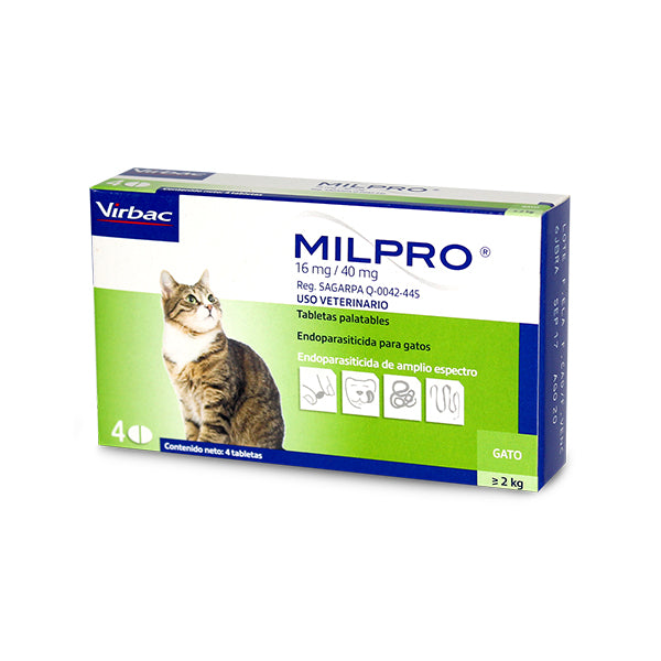 Milpro Gato adulto