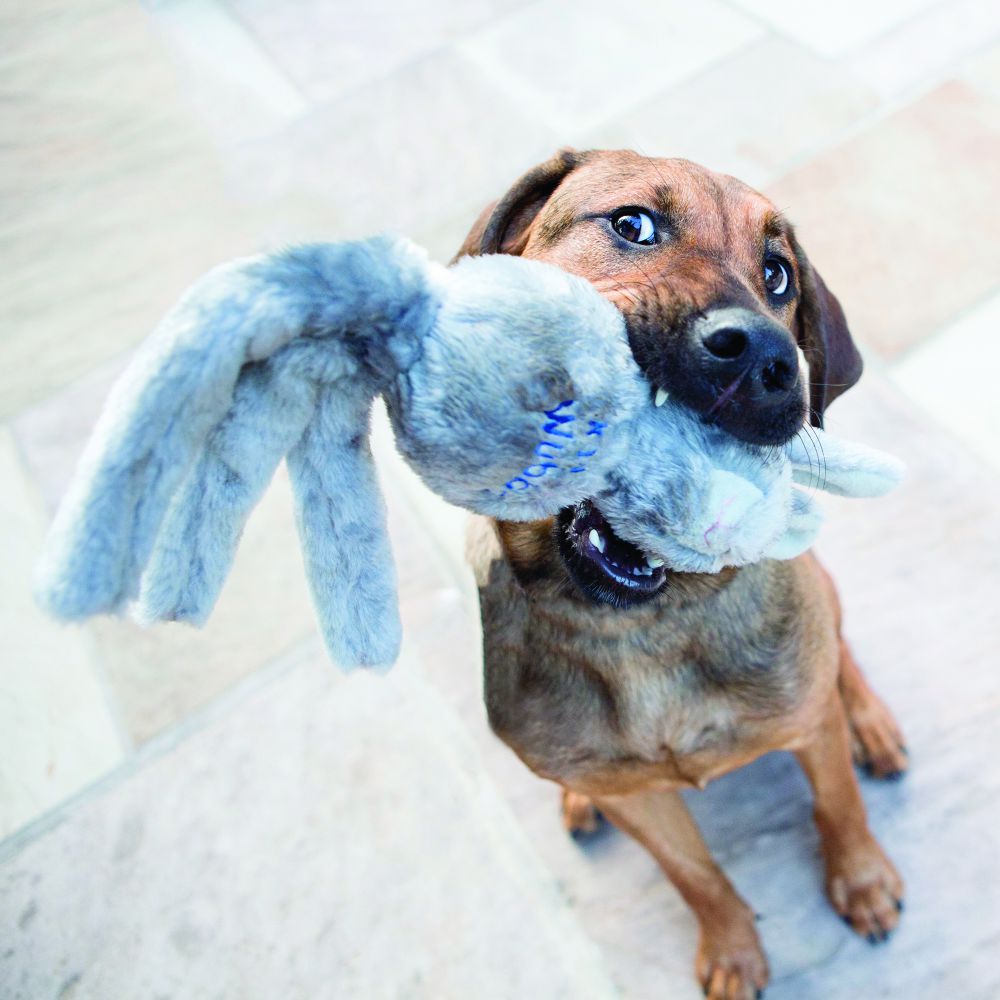 KONG - Juguete para perro wubba friends