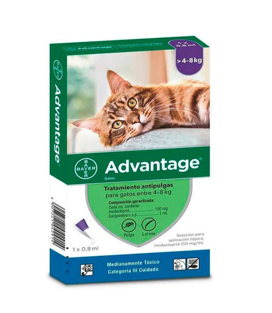 Advantage pipeta gatos