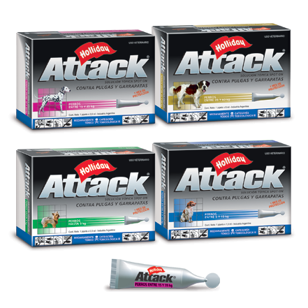 HOLLIDAY - Attack perro pipeta