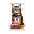 HILLS - Science diet gato 7+ Hairball control