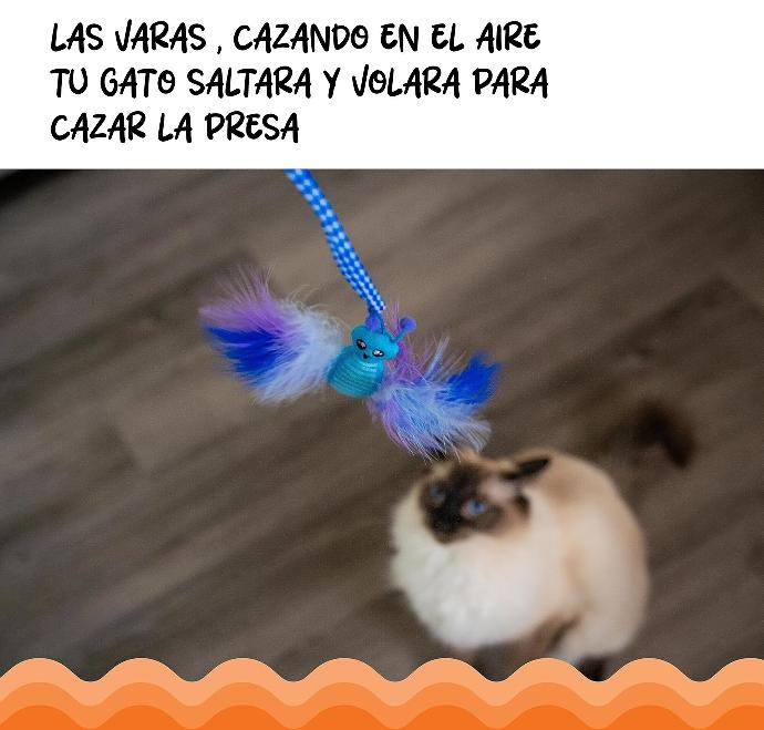 CATSTAGES - Frisky tail teaser air prey
