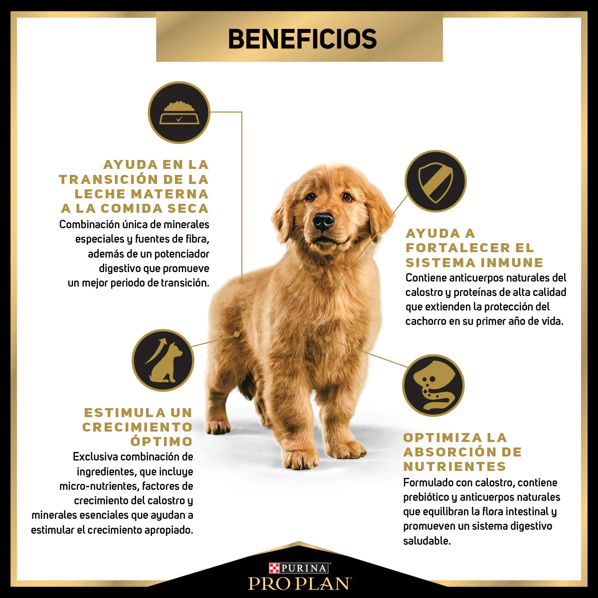 PRO PLAN - Puppy raza mediana