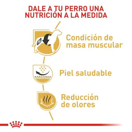 ROYAL CANIN - Bulldog francés adulto