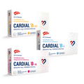 HOLLIDAY - Cardial B comprimido palatable (20Und)