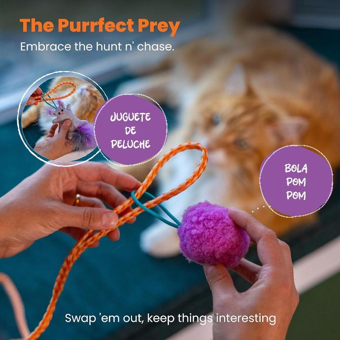 CATSTAGES - Frisky cat apult spring wand