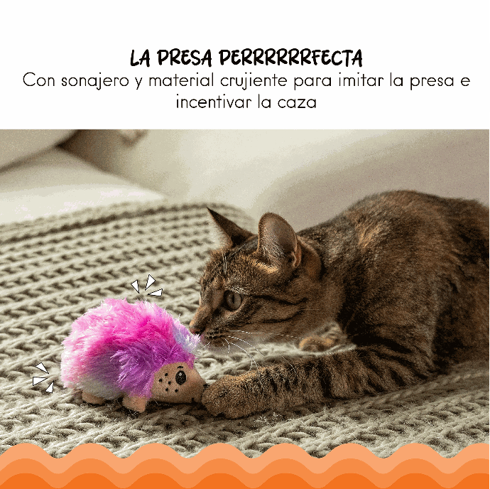 CATSTAGES -  Frisky catnip plushies hedgehog