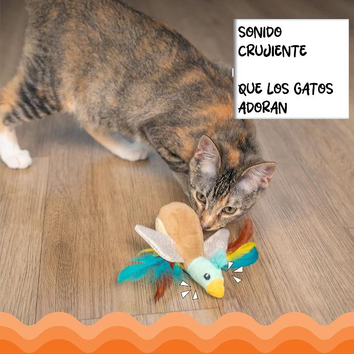 CATSTAGES - Frisky flapperz duck