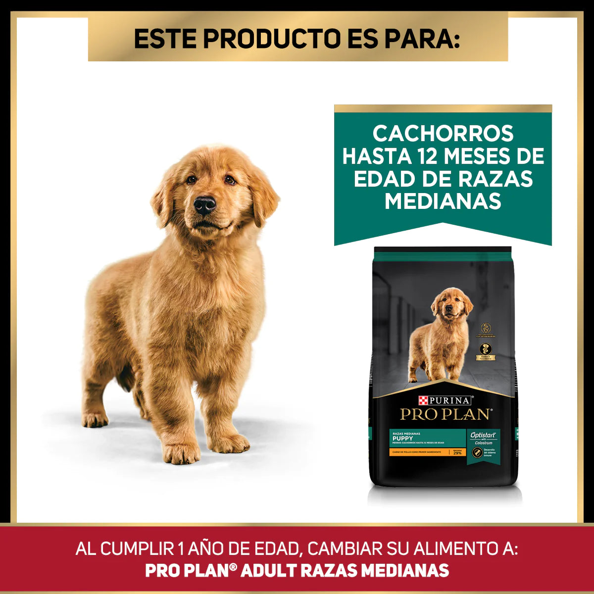 PRO PLAN - Puppy raza mediana