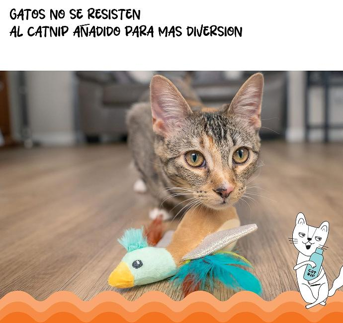 CATSTAGES - Frisky flapperz duck
