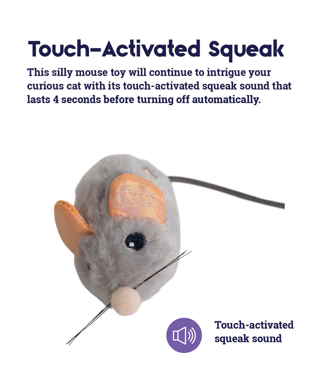 CATSTAGES -   Frisky squeak squeak mouse