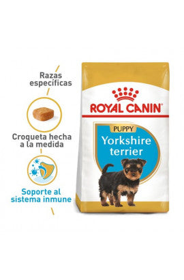 ROYAL CANIN - Yorkshire terrier puppy