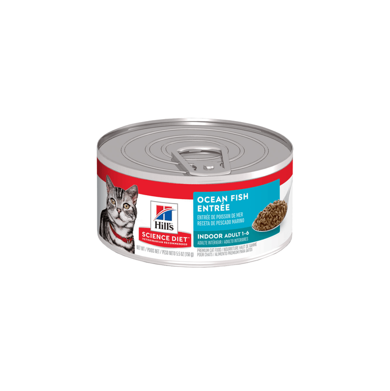 HILLS - Gato adulto indoor entree (Ocean fish)