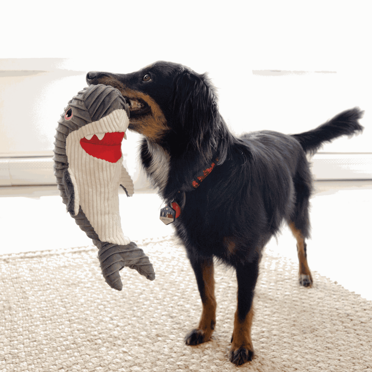KONG - Peluchecuteseas rufflez tiburón