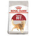 ROYAL CANIN - Gato regular fit 32
