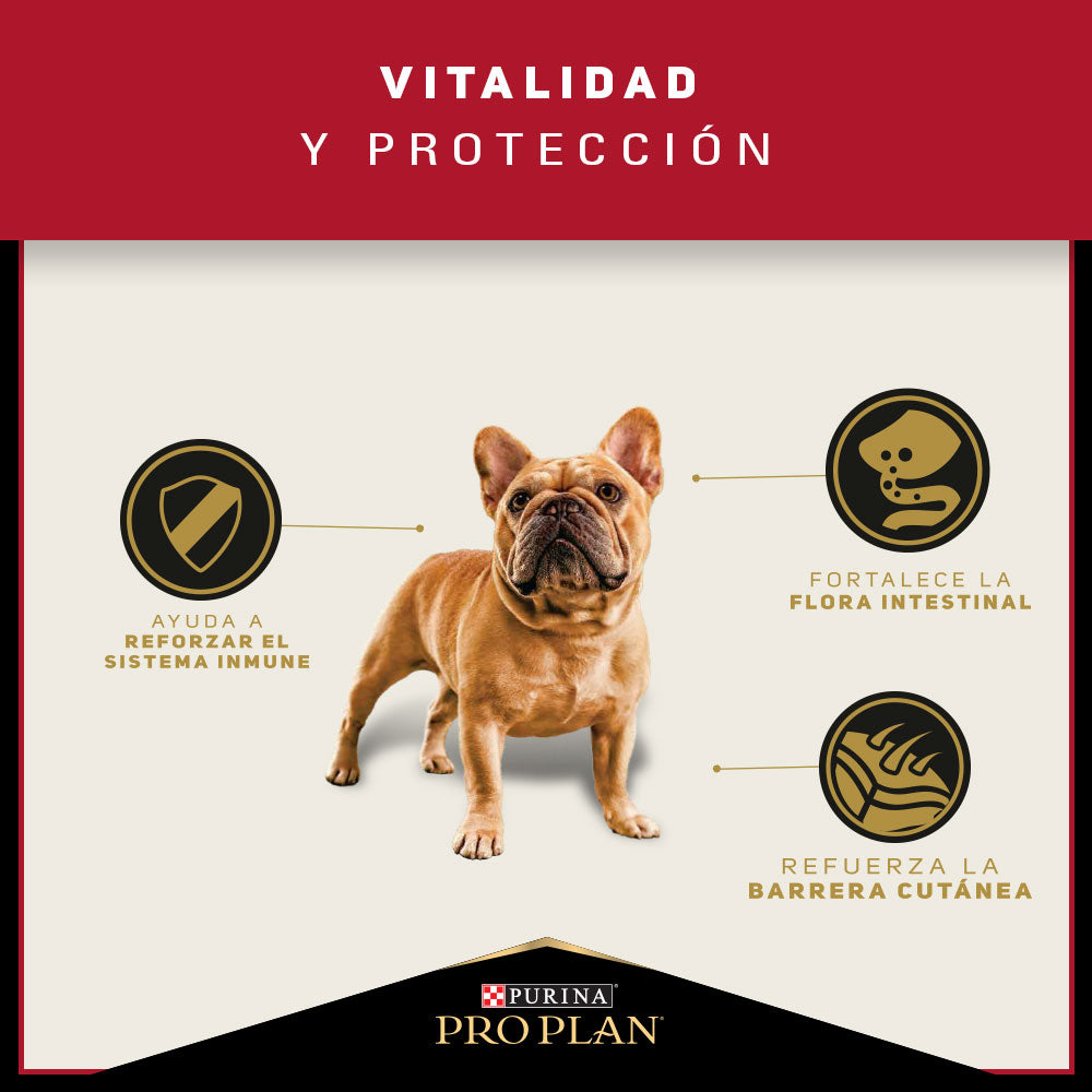 PRO PLAN - Adulto raza pequeña