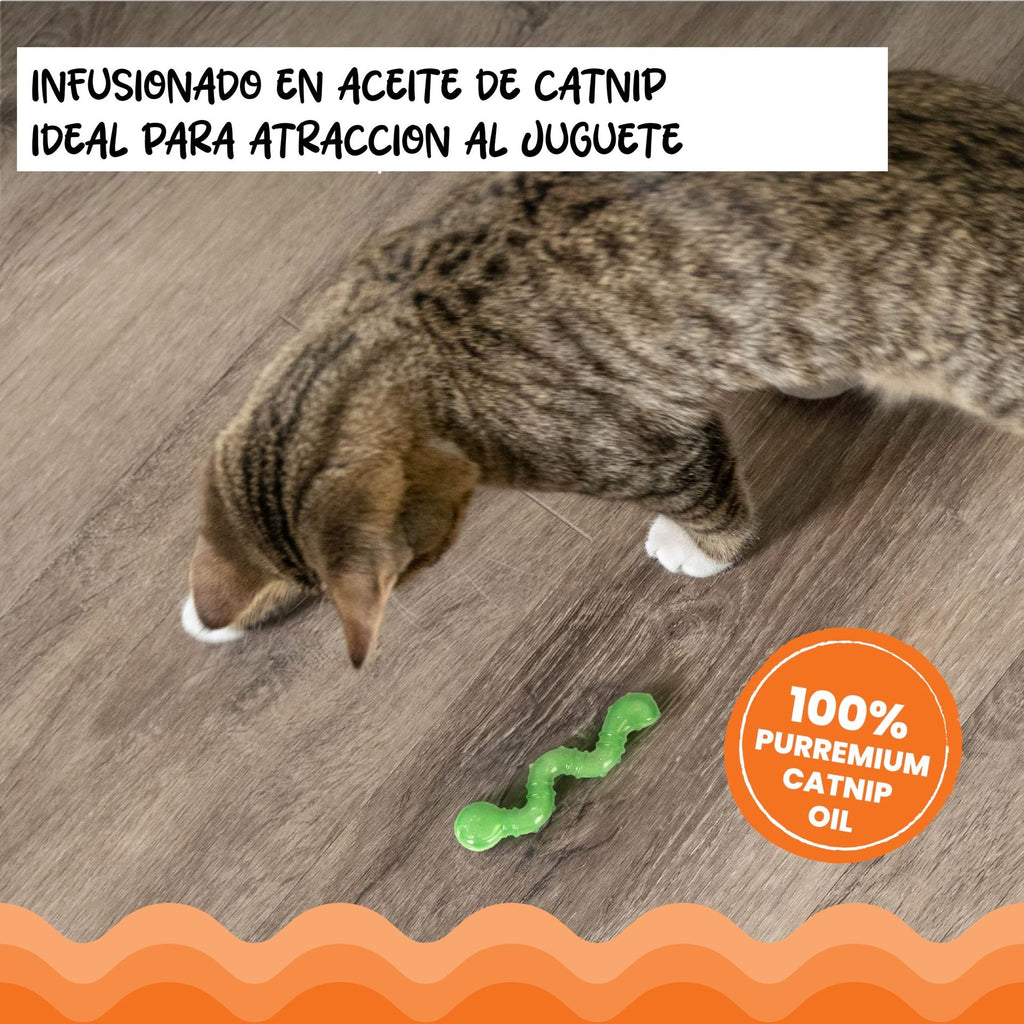 CATSTAGES - Frisky orkakat catnip wiggle worm