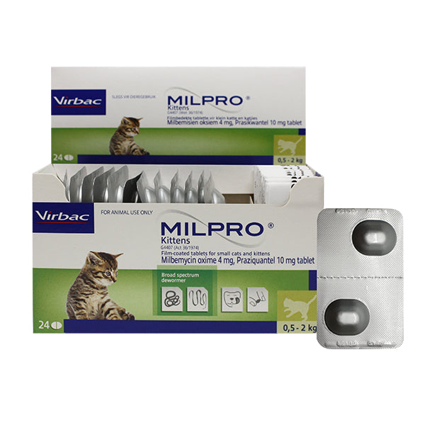 Milpro kitten