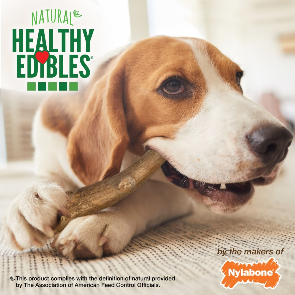 NYLABONE - HE Wild cacho de venado