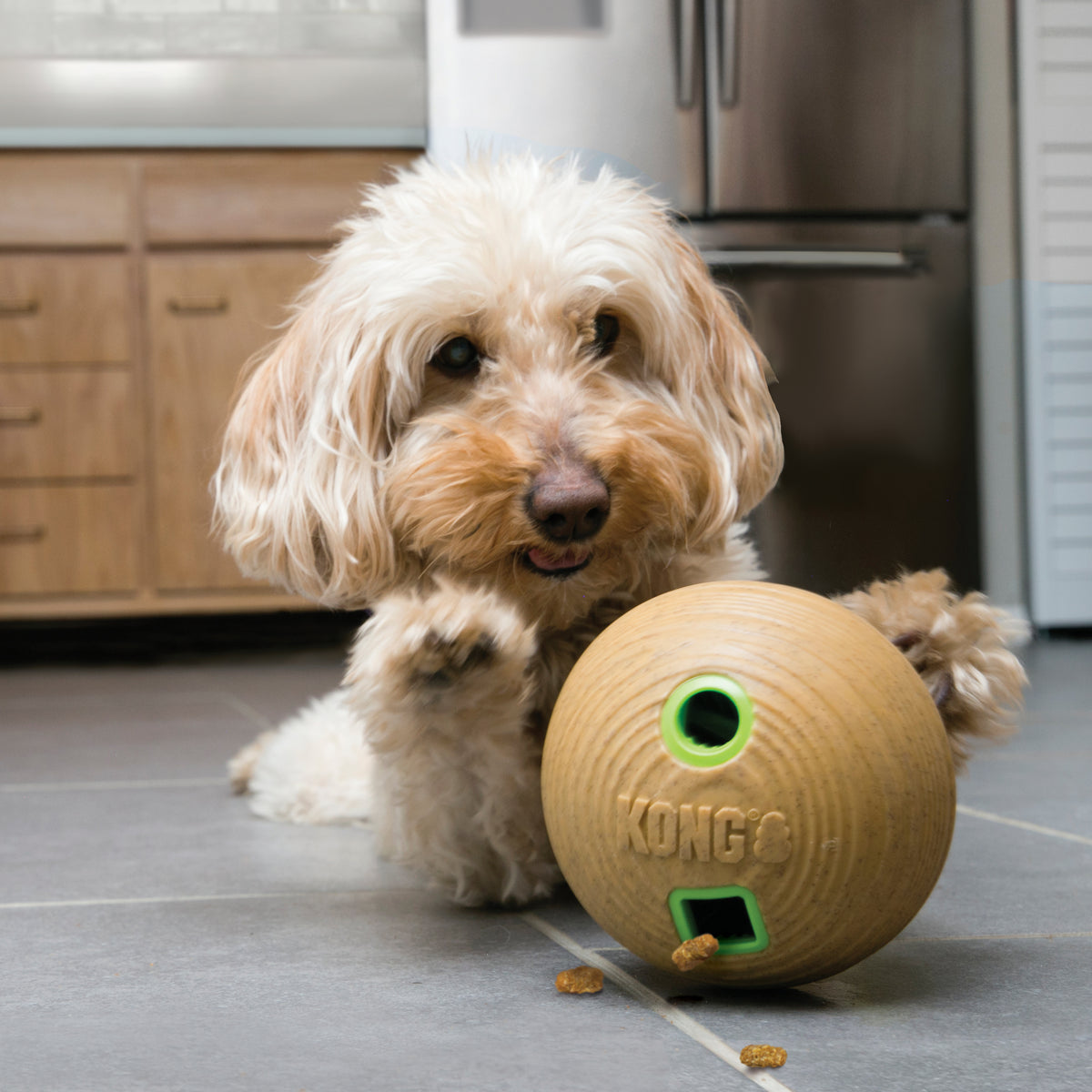 KONG - Bamboo feeder ball