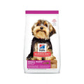 HILLS - Science diet adult small paws (Cordero y arroz)