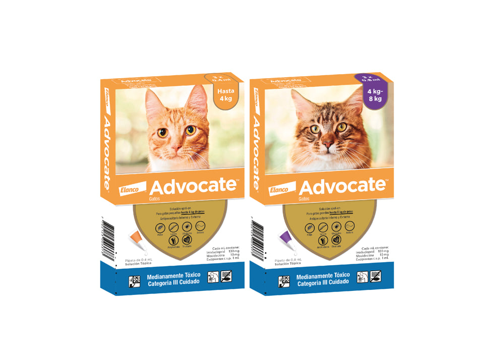 ADVOCATE - Pipeta gatos