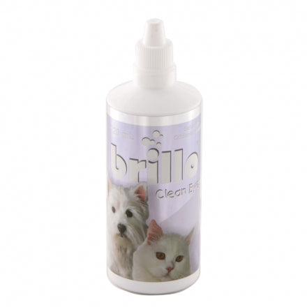 Brillo clean ayes